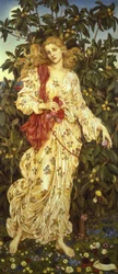 Flóra, 1894